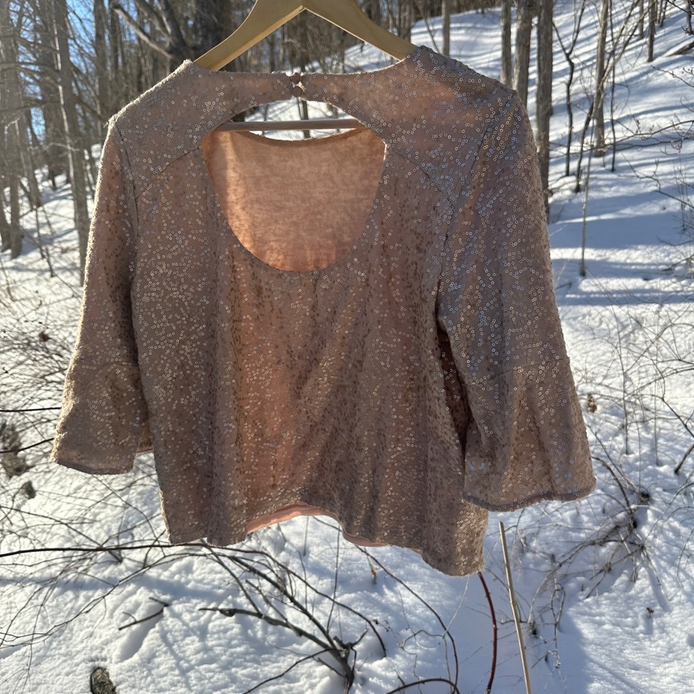 Anthropologie Gold Sequin Blouse